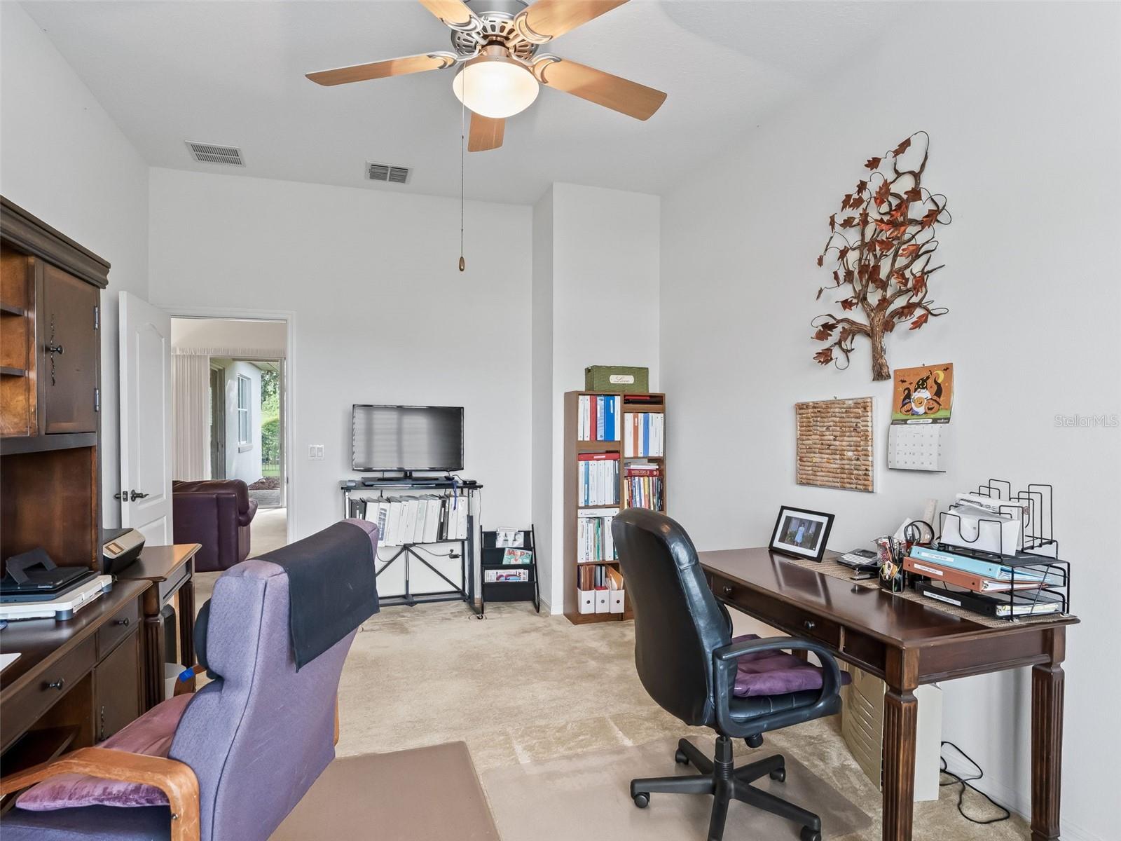 31318 SUNNY MEADOW CT, LEESBURG, FL, 34748