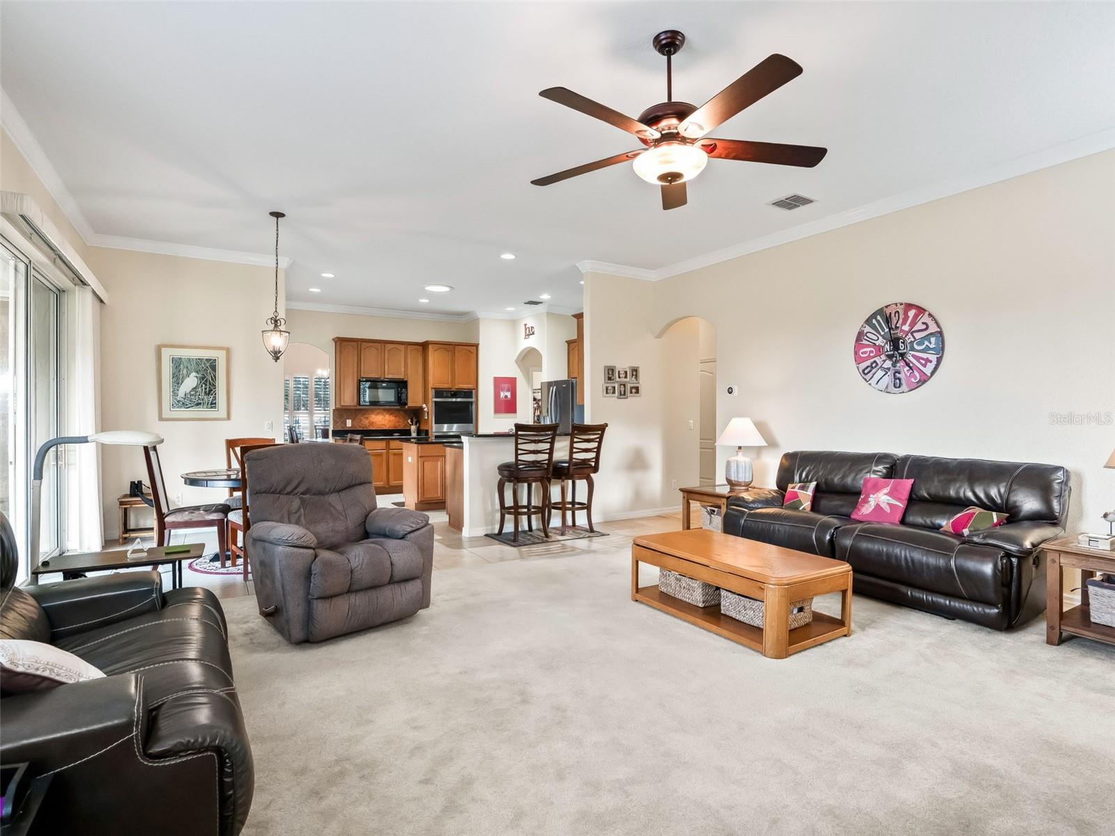 31318 SUNNY MEADOW CT, LEESBURG, FL, 34748