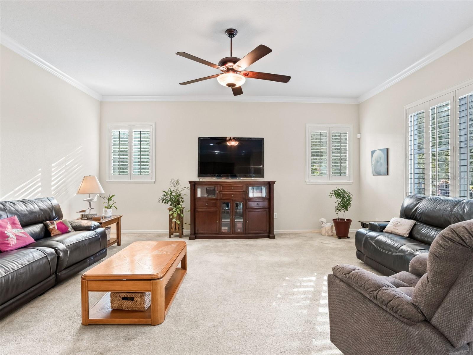 31318 SUNNY MEADOW CT, LEESBURG, FL, 34748