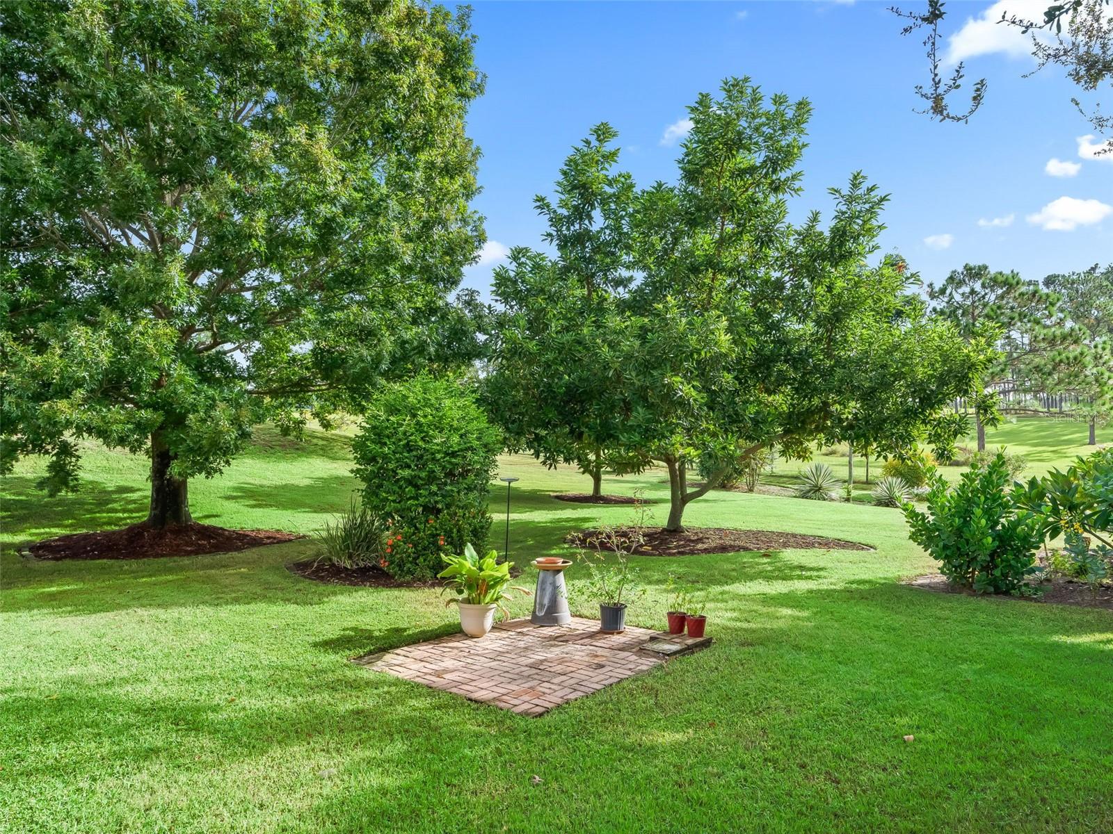 31318 SUNNY MEADOW CT, LEESBURG, FL, 34748