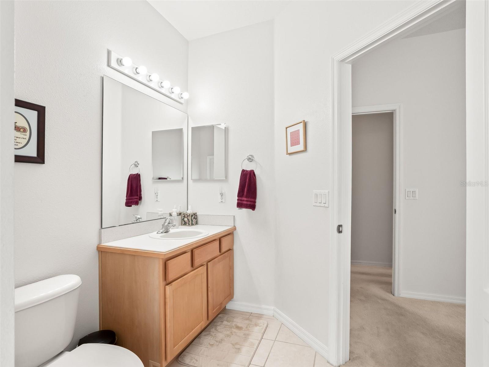 31318 SUNNY MEADOW CT, LEESBURG, FL, 34748