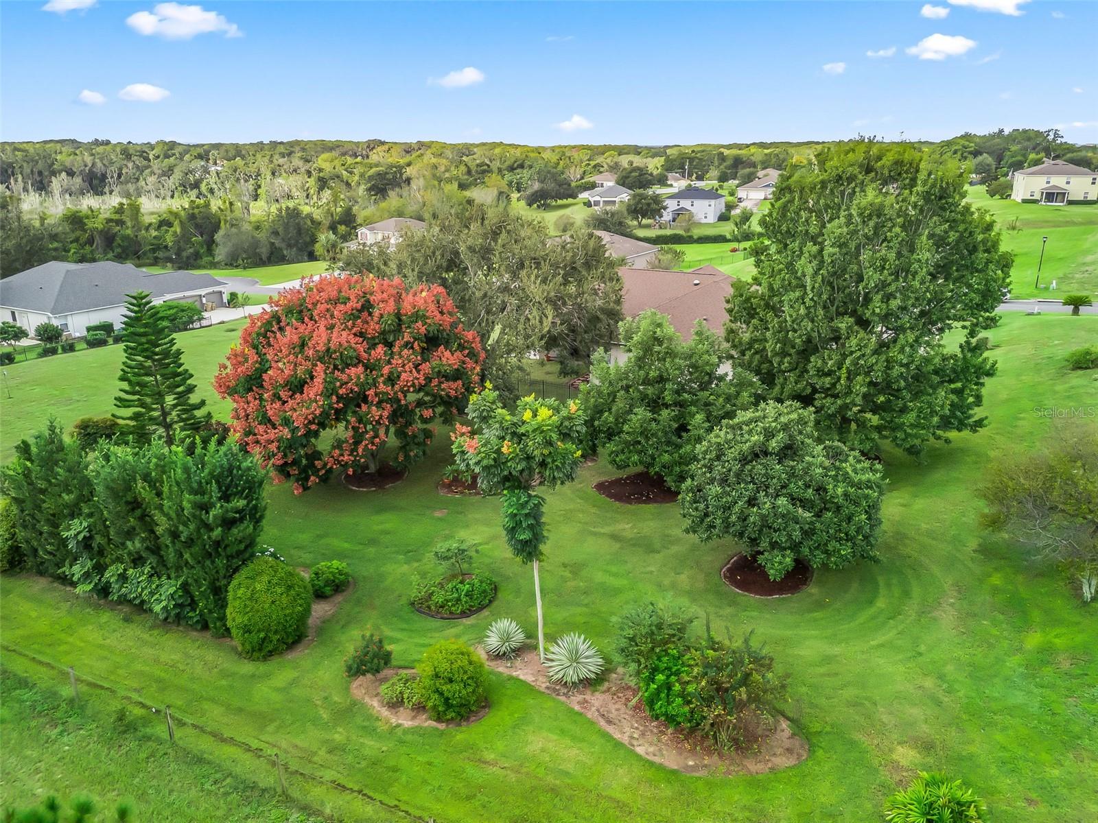 31318 SUNNY MEADOW CT, LEESBURG, FL, 34748