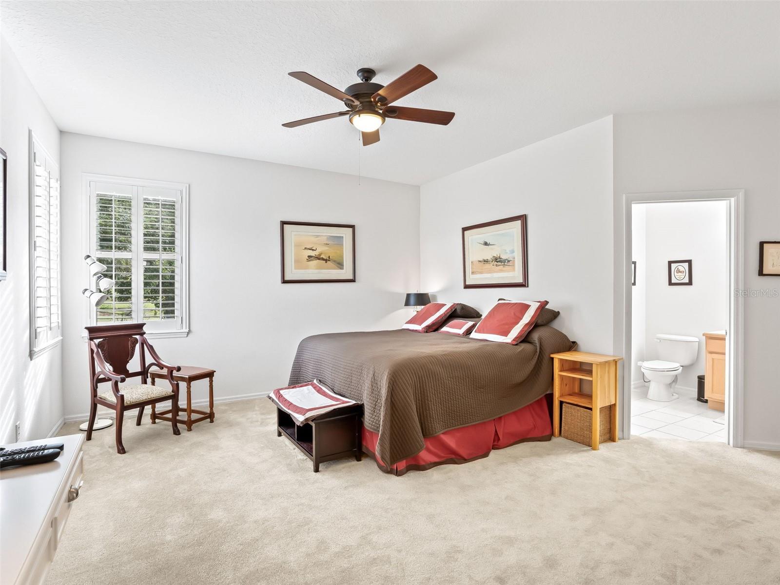 31318 SUNNY MEADOW CT, LEESBURG, FL, 34748