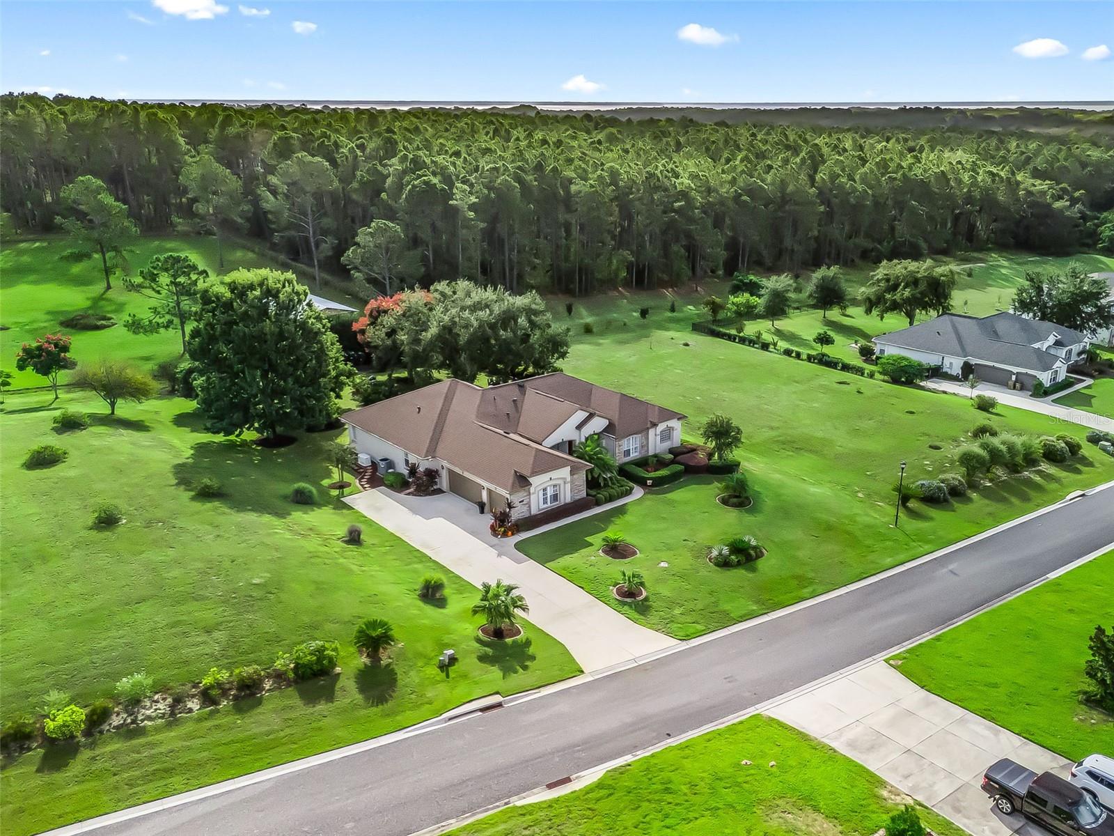 31318 SUNNY MEADOW CT, LEESBURG, FL, 34748