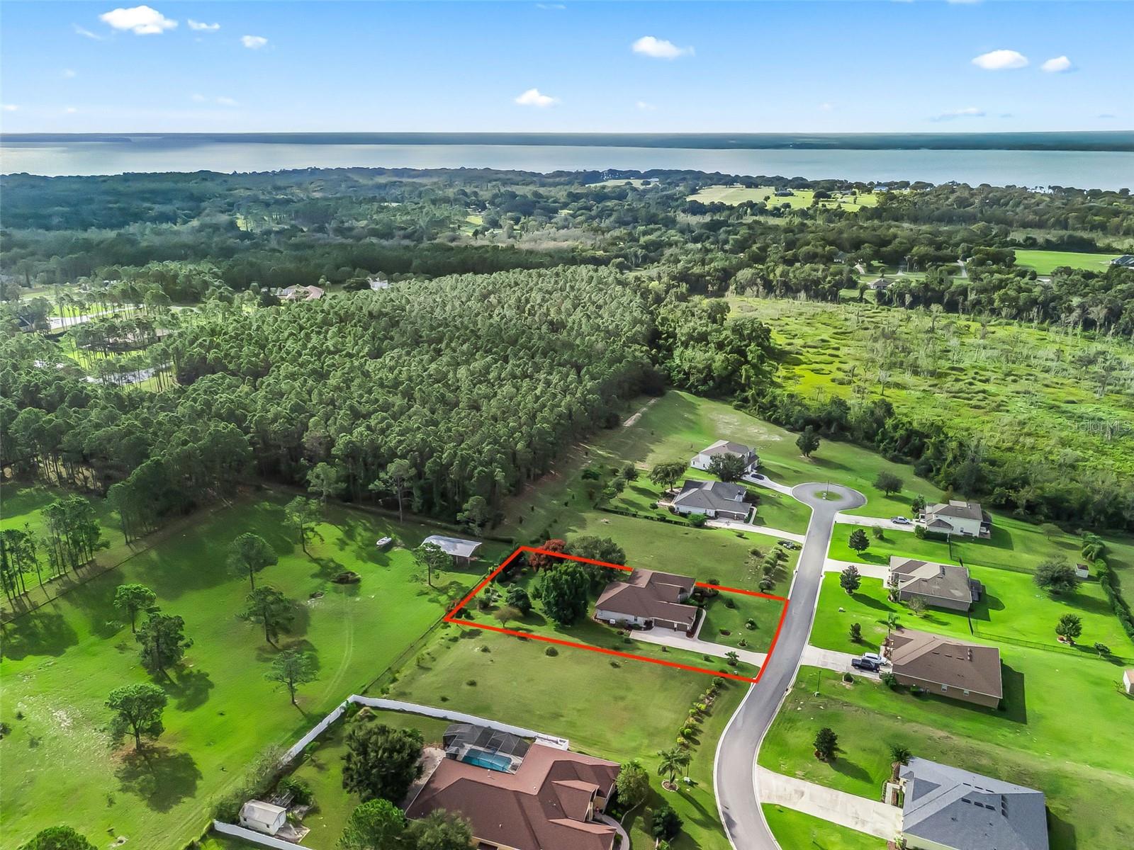 31318 SUNNY MEADOW CT, LEESBURG, FL, 34748