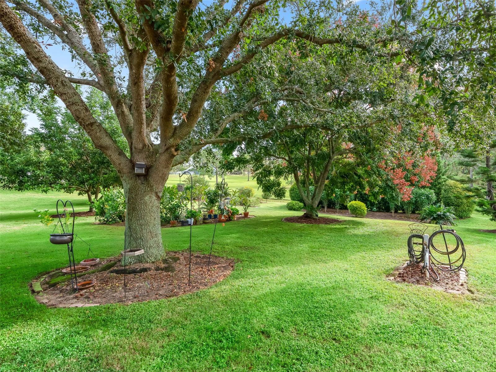 31318 SUNNY MEADOW CT, LEESBURG, FL, 34748