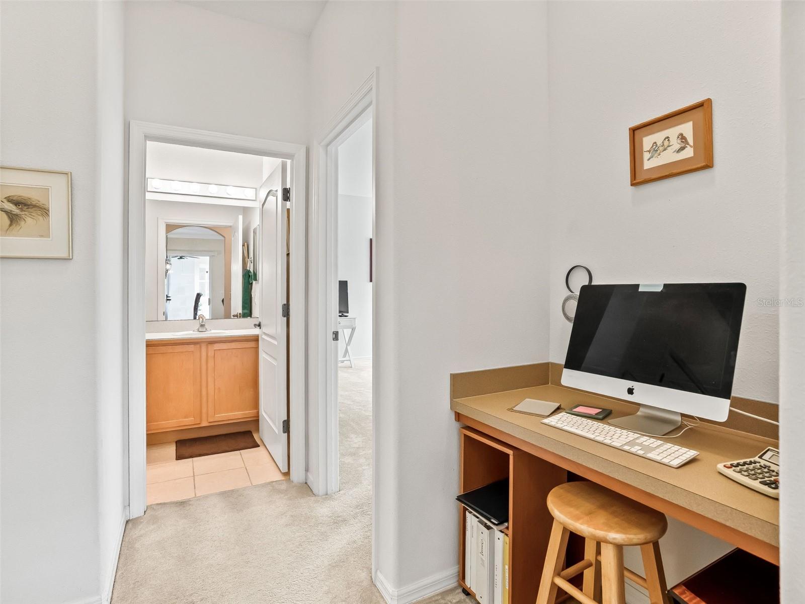 31318 SUNNY MEADOW CT, LEESBURG, FL, 34748