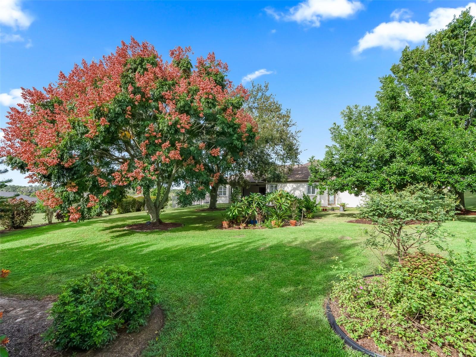 31318 SUNNY MEADOW CT, LEESBURG, FL, 34748