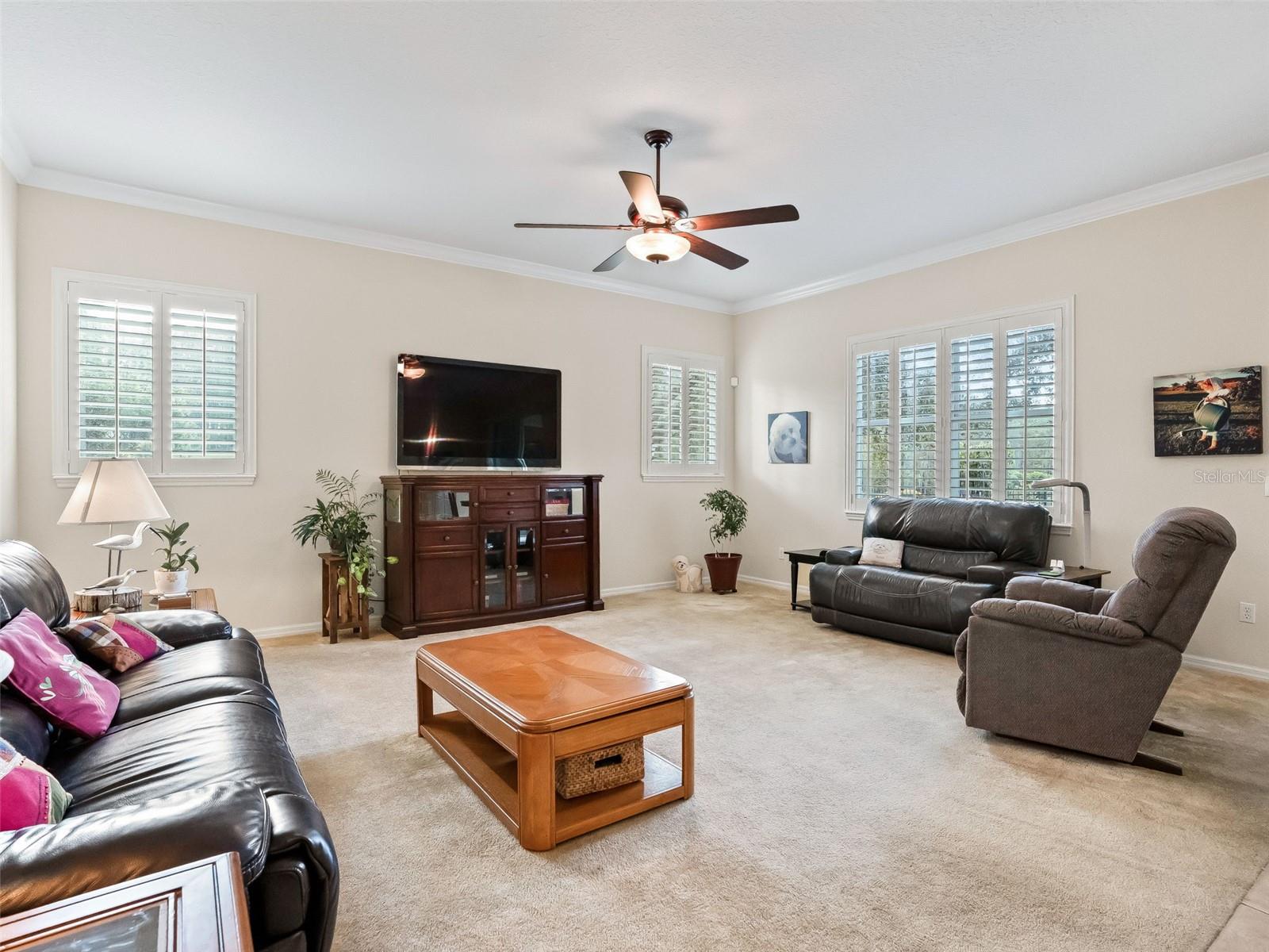 31318 SUNNY MEADOW CT, LEESBURG, FL, 34748