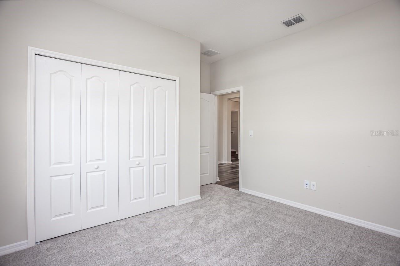 16391 GREENBACK RD, WEEKI WACHEE, FL, 34614