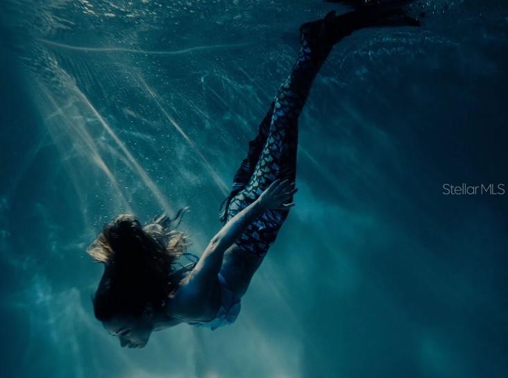 16391 GREENBACK RD, WEEKI WACHEE, FL, 34614