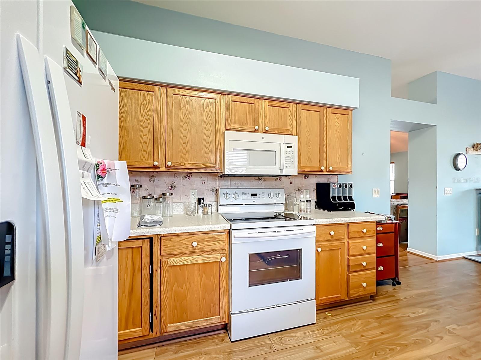 1506 DELLANO WAY, THE VILLAGES, FL, 32159