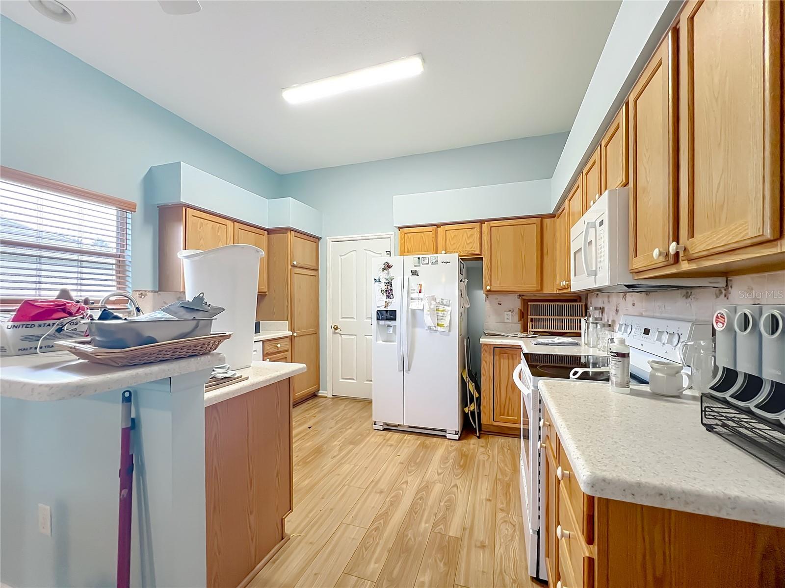 1506 DELLANO WAY, THE VILLAGES, FL, 32159