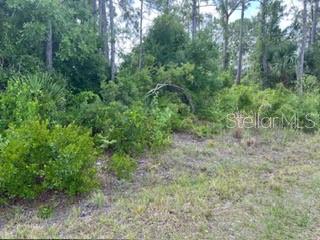 BECKWITH AVE, NORTH PORT, FL, 34291