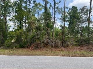 BECKWITH AVE, NORTH PORT, FL, 34291