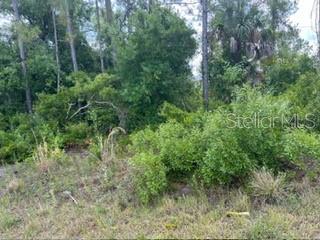 BECKWITH AVE, NORTH PORT, FL, 34291