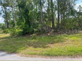 BECKWITH AVE, NORTH PORT, FL, 34291