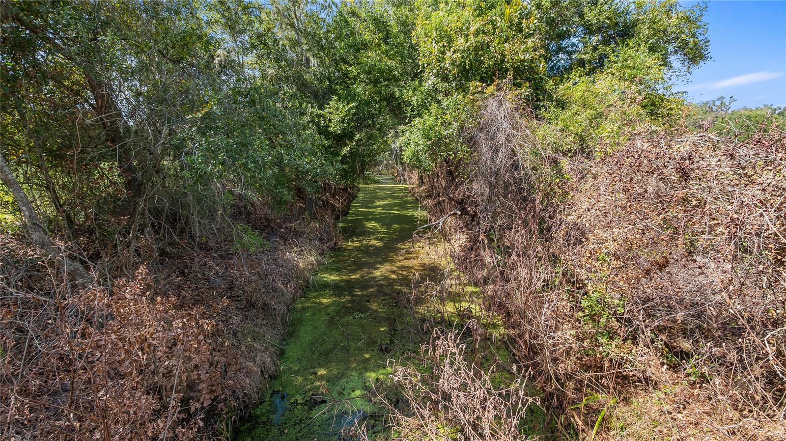 13343 CR 727, WEBSTER, FL, 33597