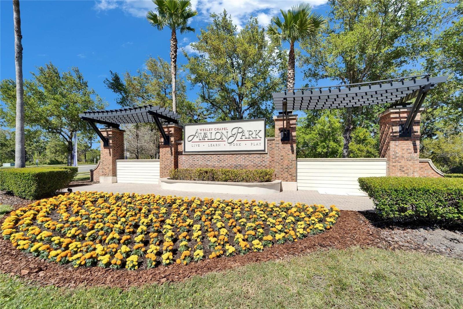 5179 AVALON PARK BLVD, WESLEY CHAPEL, FL, 33545