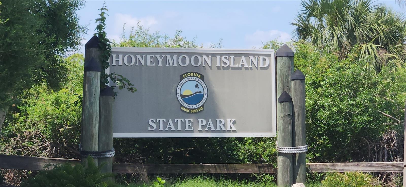 1440 WETHERINGTON WAY, DUNEDIN, FL, 34698