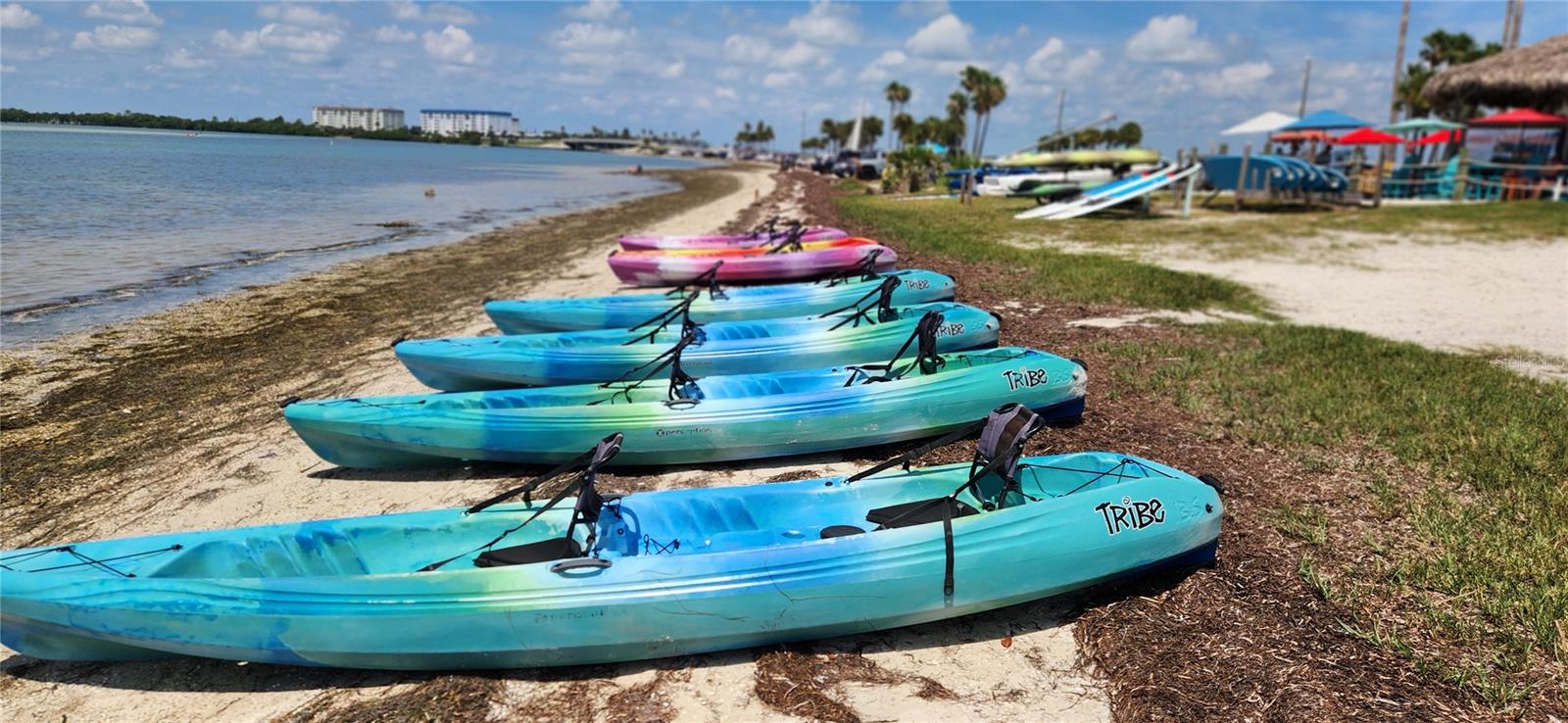 1440 WETHERINGTON WAY, DUNEDIN, FL, 34698