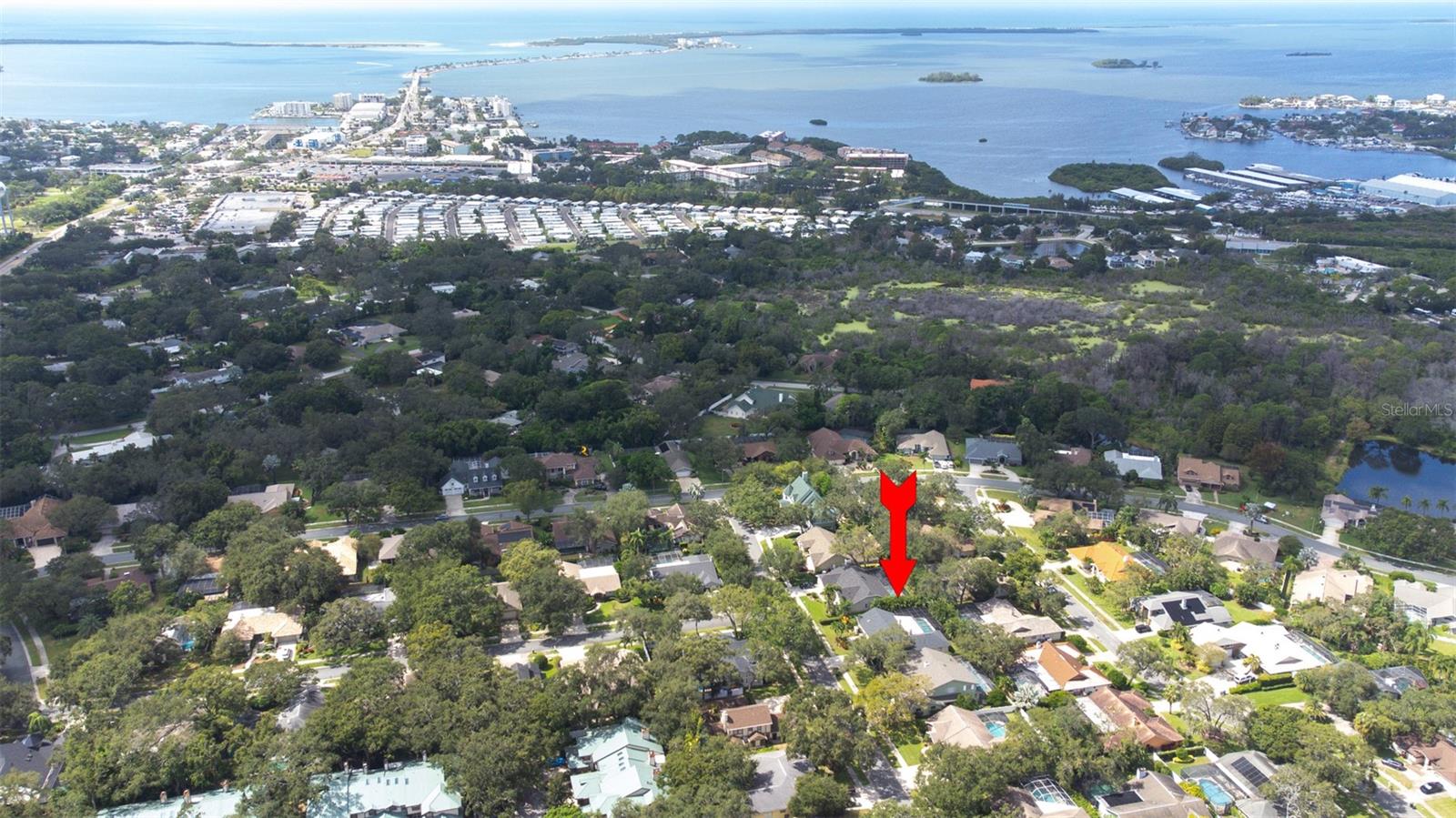 1440 WETHERINGTON WAY, DUNEDIN, FL, 34698