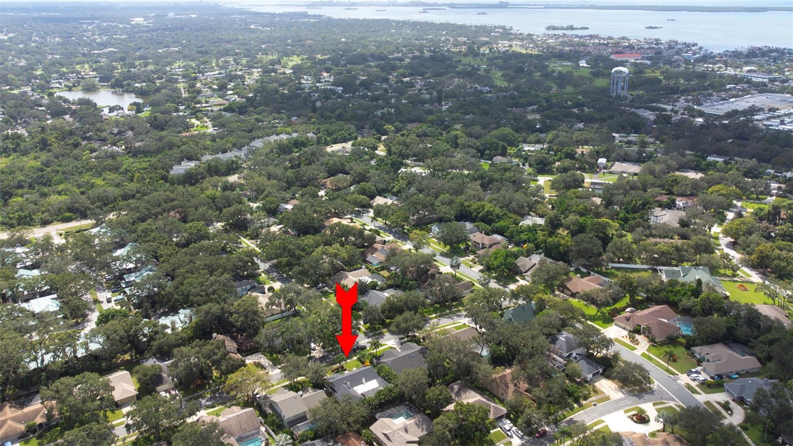 1440 WETHERINGTON WAY, DUNEDIN, FL, 34698