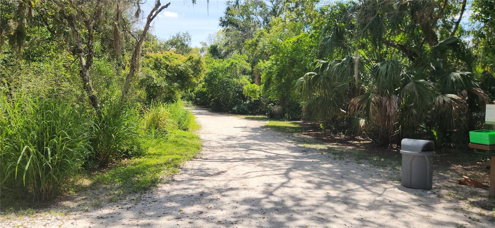 1440 WETHERINGTON WAY, DUNEDIN, FL, 34698