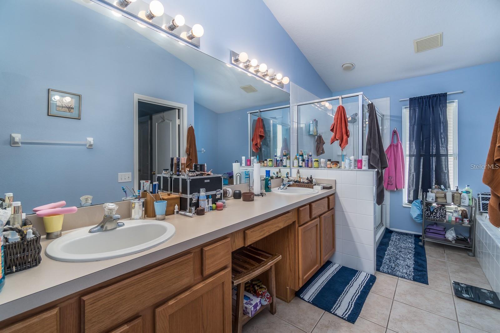 11525 MISTY ISLE LN, RIVERVIEW, FL, 33579