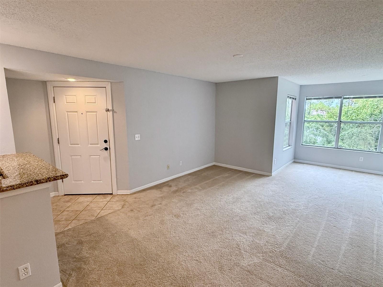 5140 CONROY RD #823, ORLANDO, FL, 32811