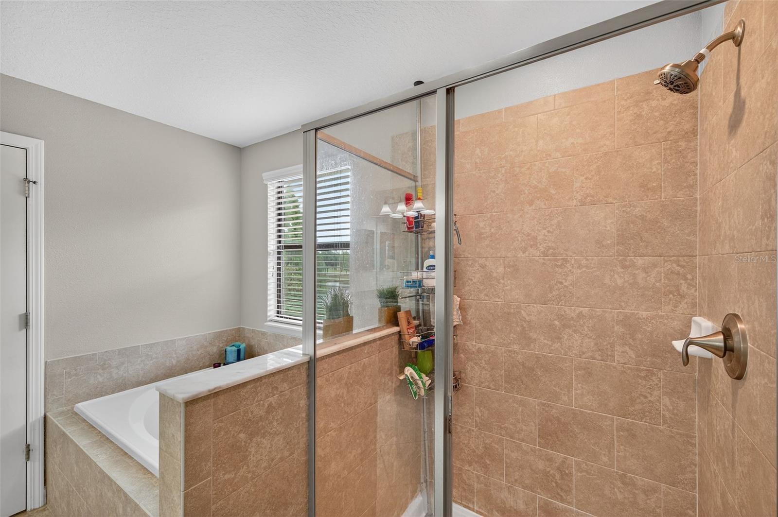 8918 SHADY PAVILLION CT, LAND O LAKES, FL, 34637