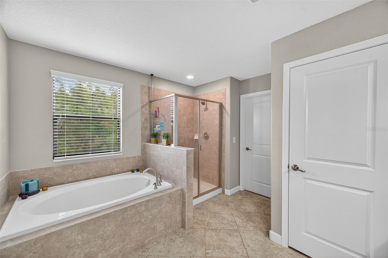 8918 SHADY PAVILLION CT, LAND O LAKES, FL, 34637