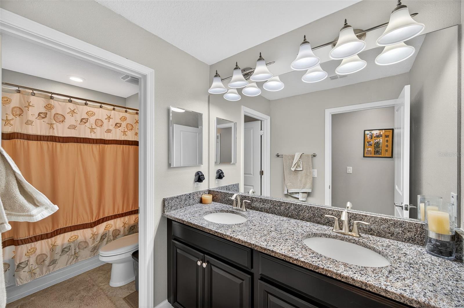 8918 SHADY PAVILLION CT, LAND O LAKES, FL, 34637