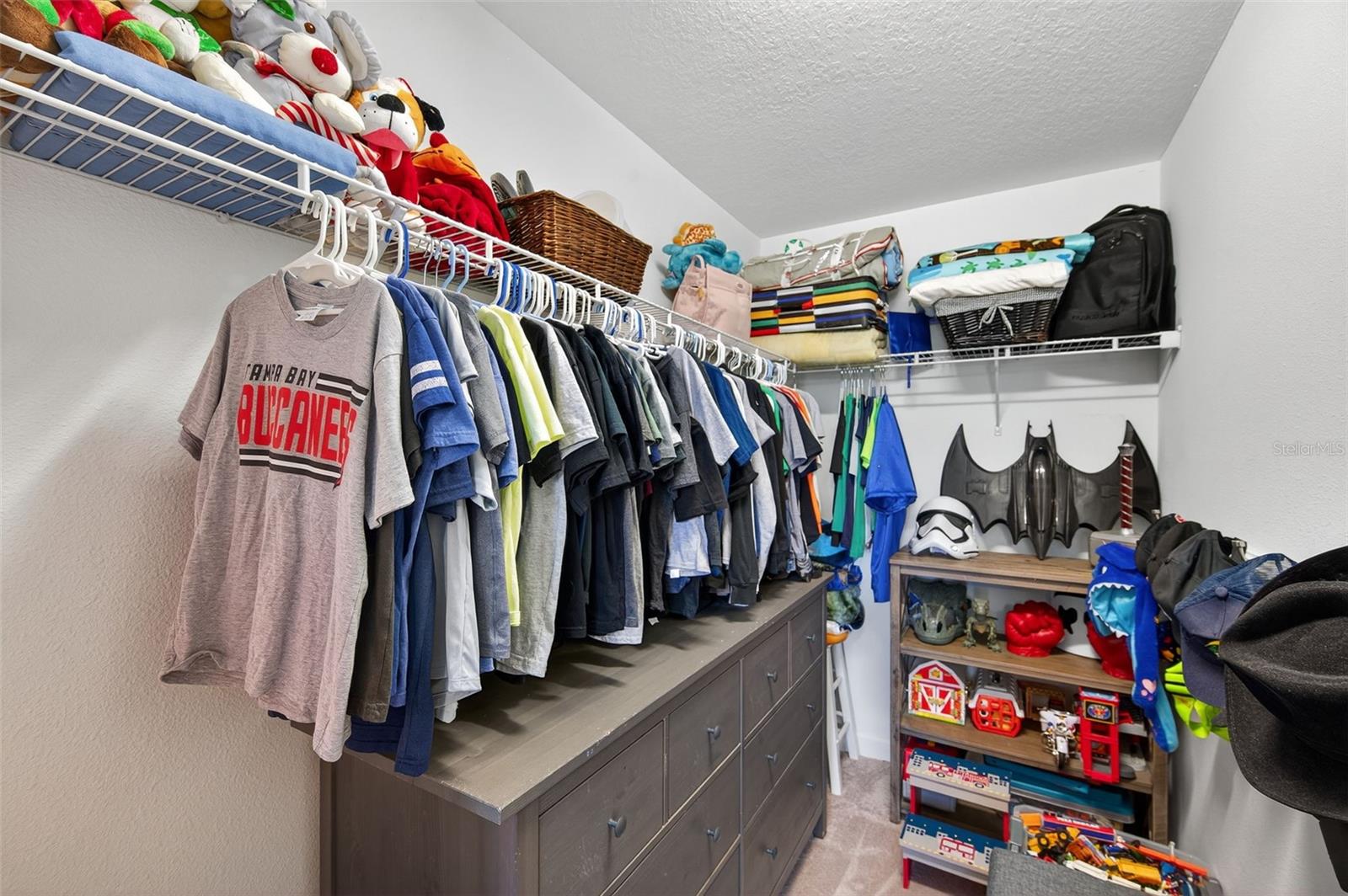 8918 SHADY PAVILLION CT, LAND O LAKES, FL, 34637