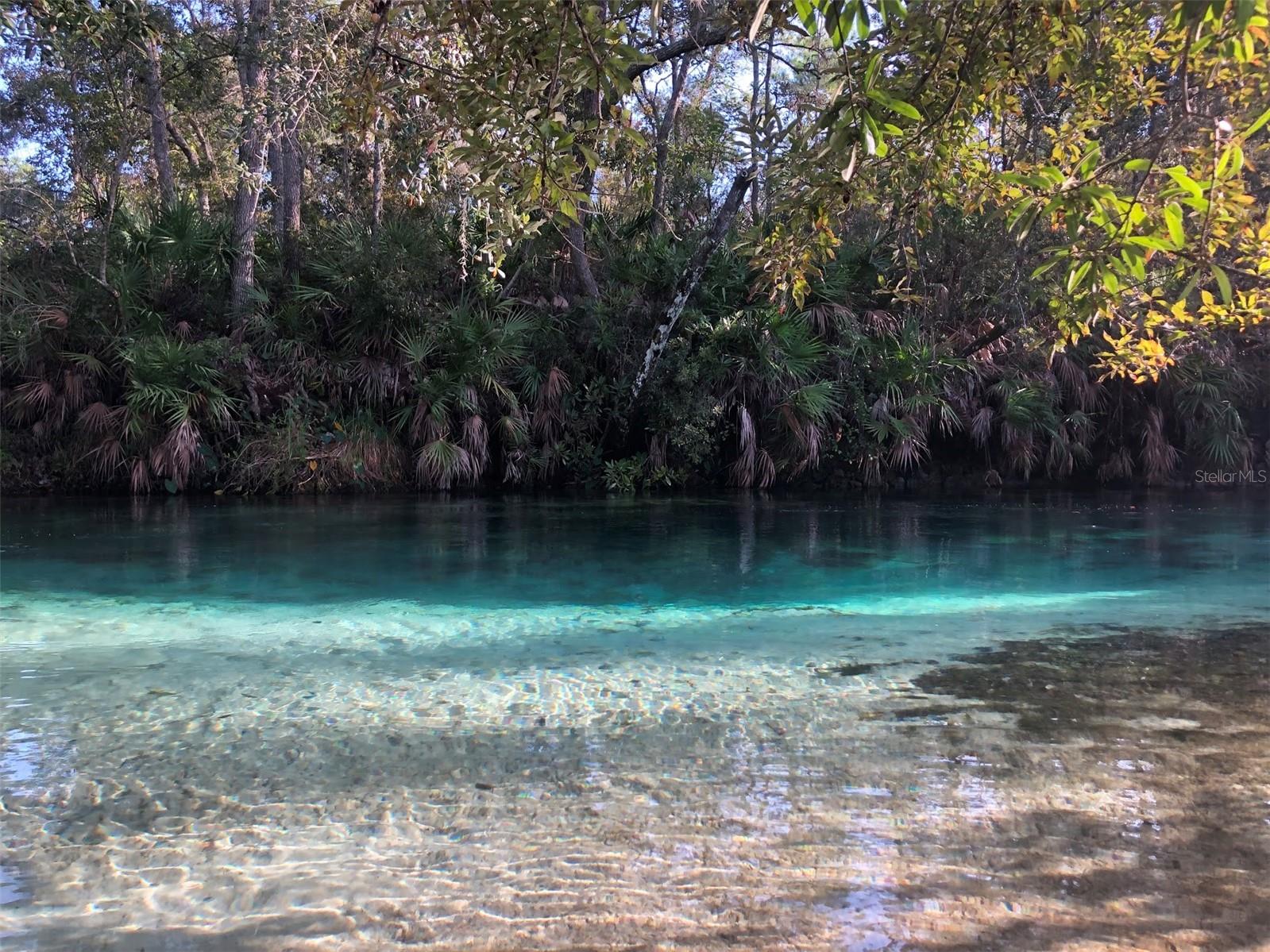 10373 MARVISTA CT, WEEKI WACHEE, FL, 34614