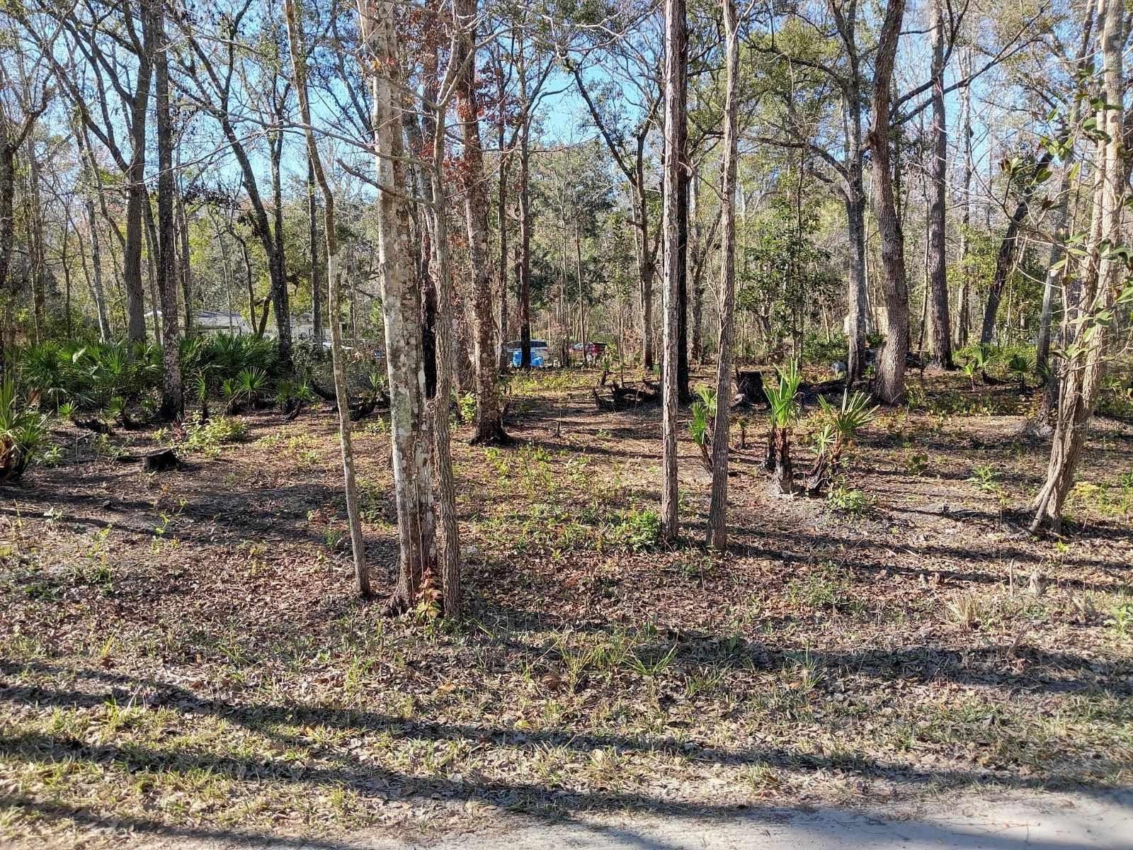 0000 TULANE STREET, NEW PORT RICHEY, FL, 34653