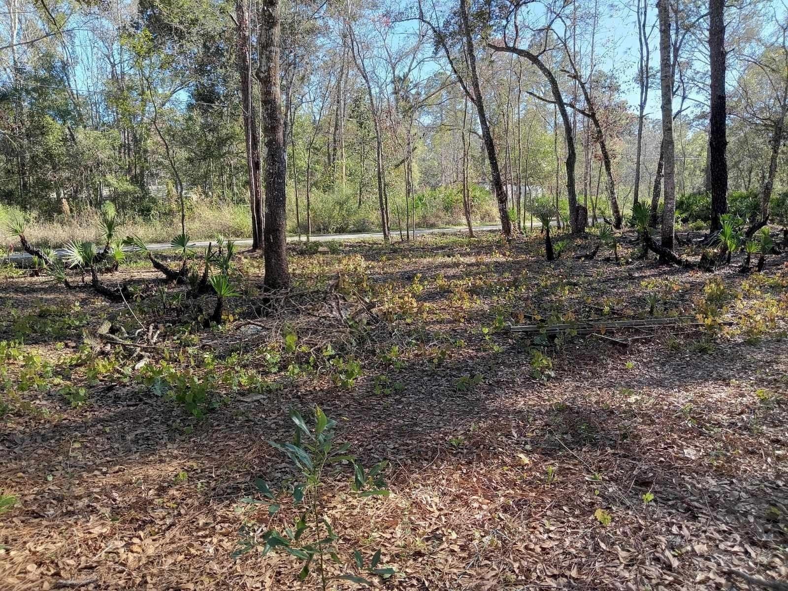 0000 TULANE STREET, NEW PORT RICHEY, FL, 34653