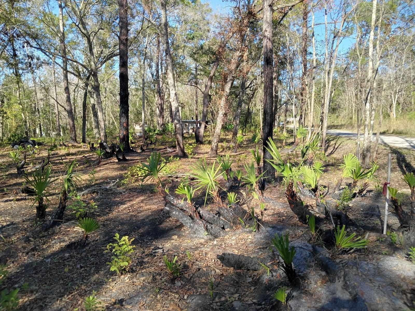 0000 TULANE STREET, NEW PORT RICHEY, FL, 34653