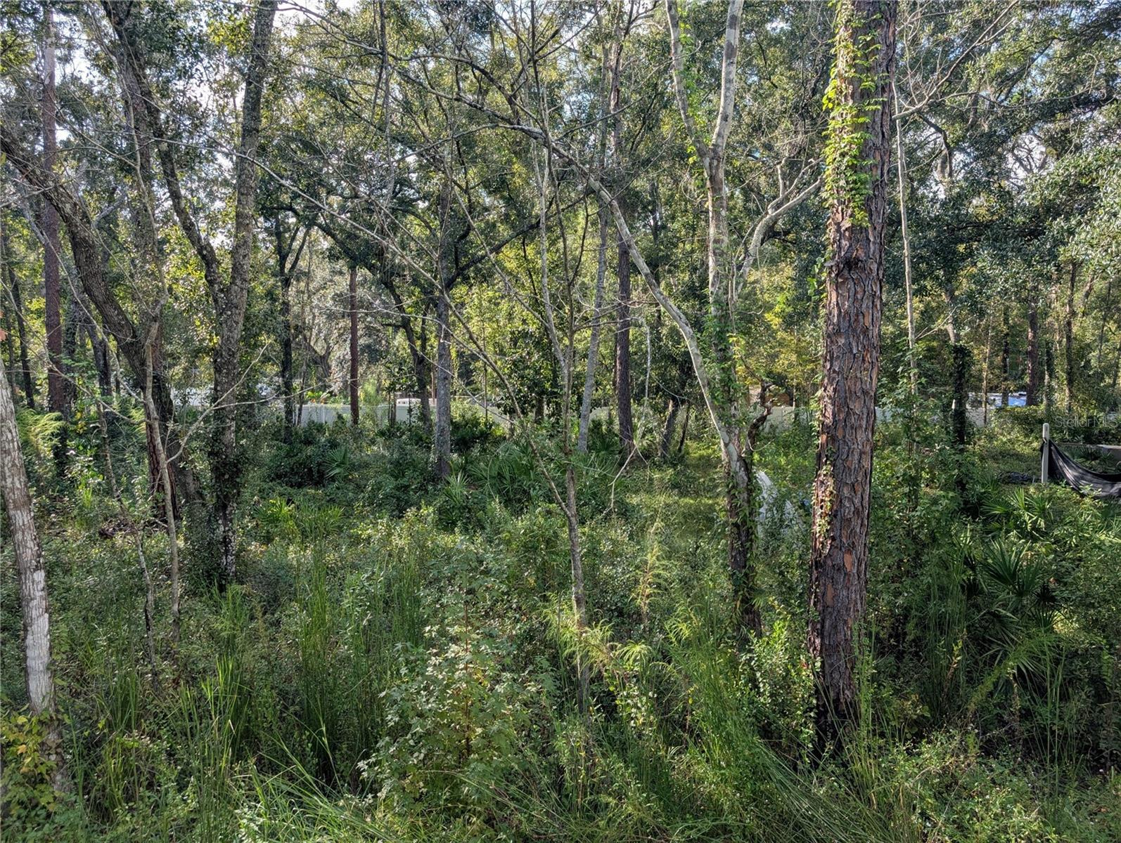 0000 TULANE STREET, NEW PORT RICHEY, FL, 34653