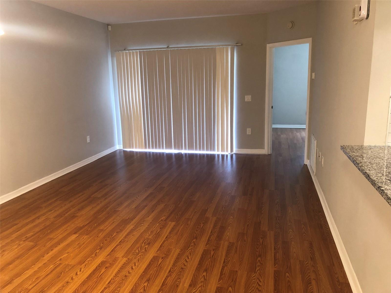 6021 PORTSDALE PL #101, RIVERVIEW, FL, 33578