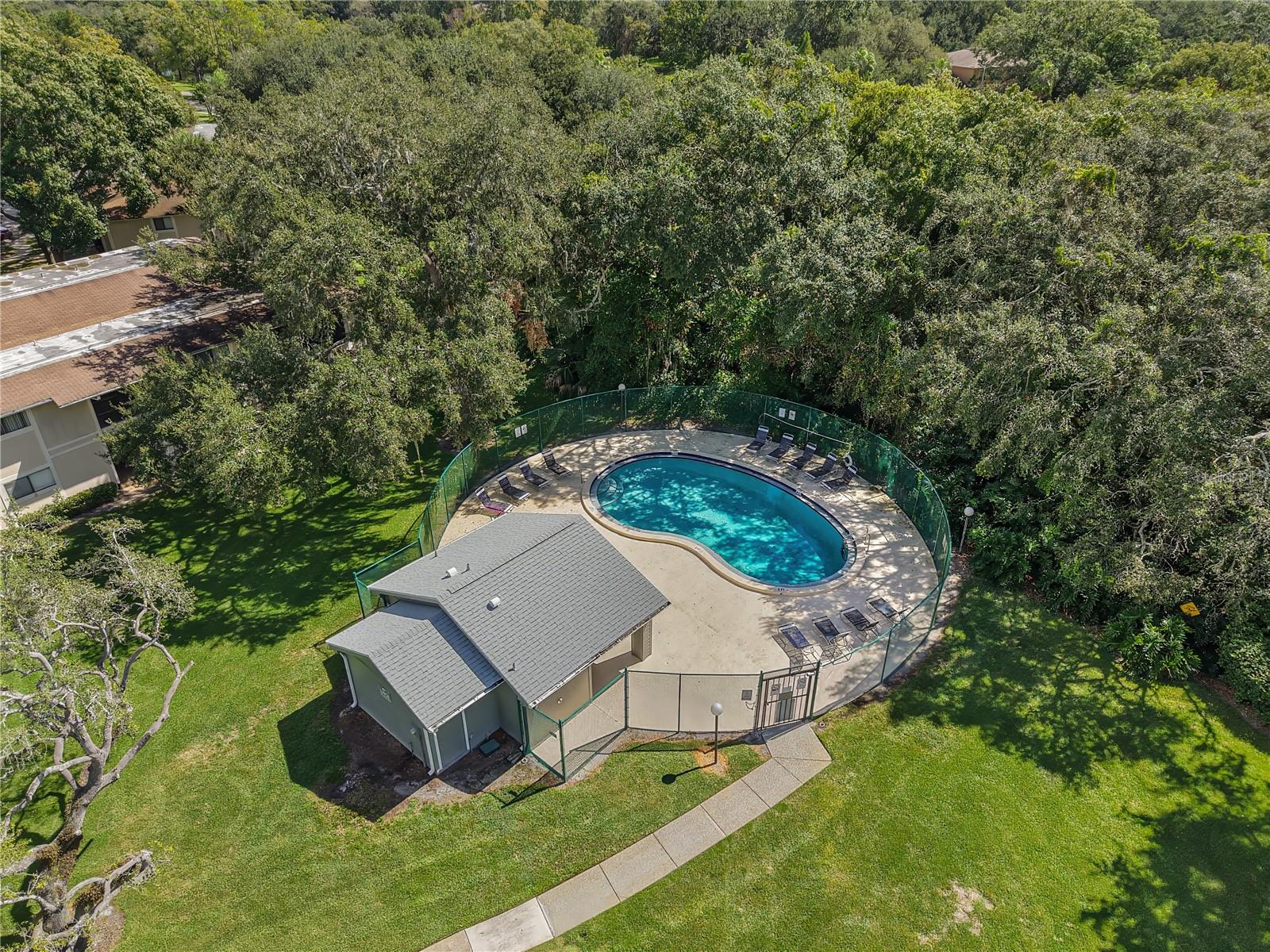 6002 LAKETREE LN #L, TEMPLE TERRACE, FL, 33617