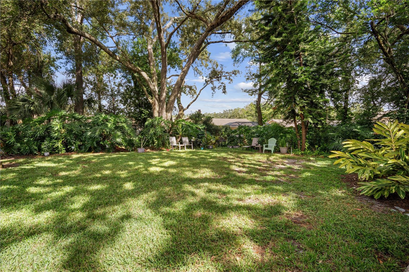 6002 LAKETREE LN #L, TEMPLE TERRACE, FL, 33617