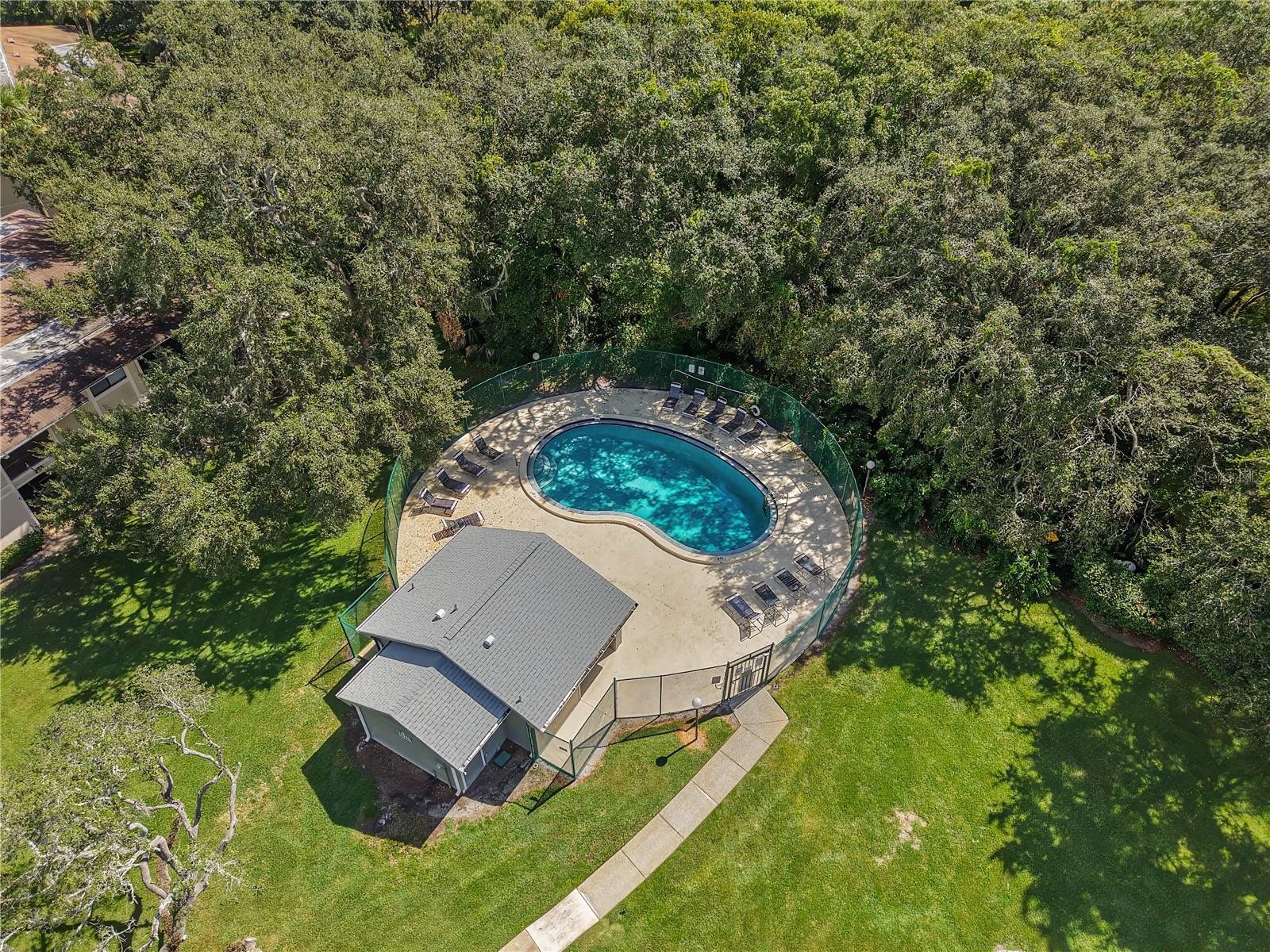 6002 LAKETREE LN #L, TEMPLE TERRACE, FL, 33617