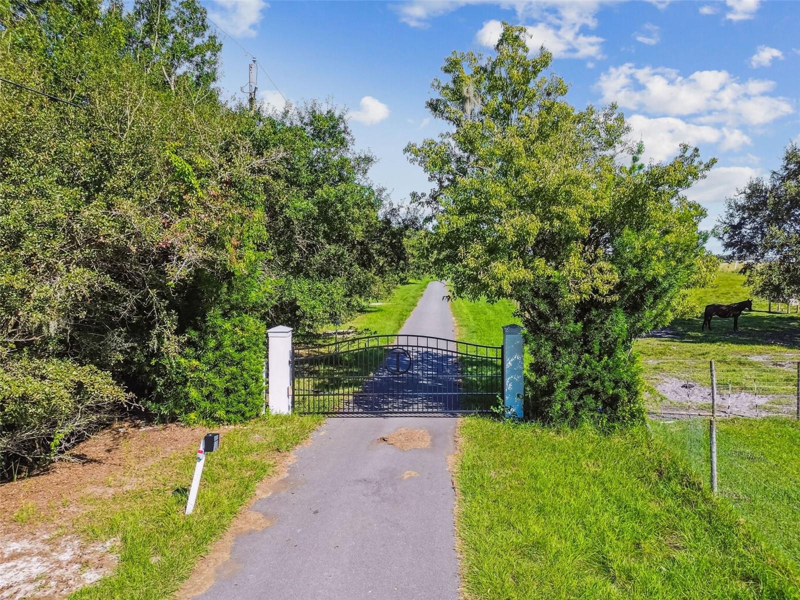 Electronic gate with separate power supply