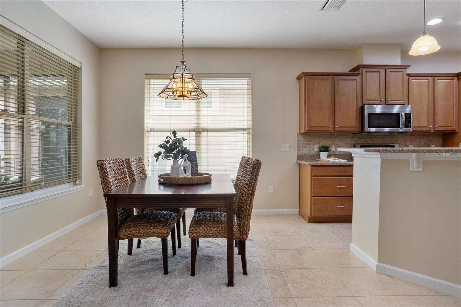 1381 HAZELDENE MNR, DELAND, FL, 32724