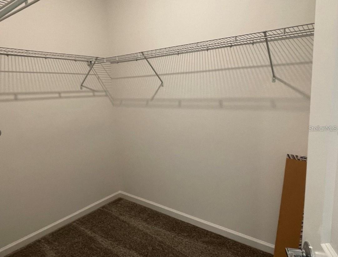 1391 WILLIAMS RD, WINTER GARDEN, FL, 34787