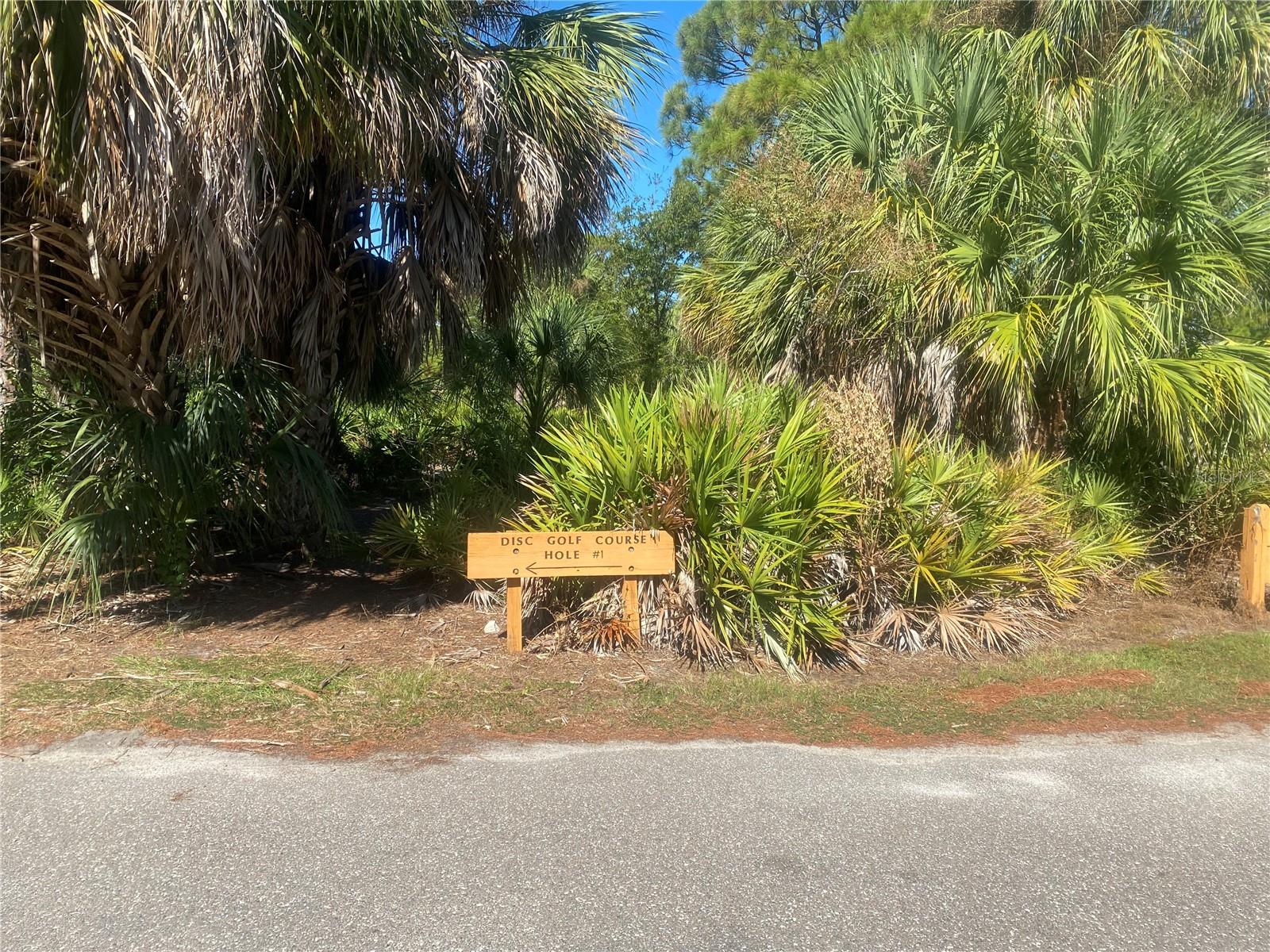 Recreation Game of Disc Golf Near-by