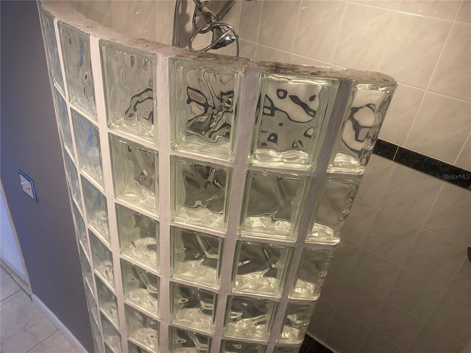 Guest BA Shower Wall