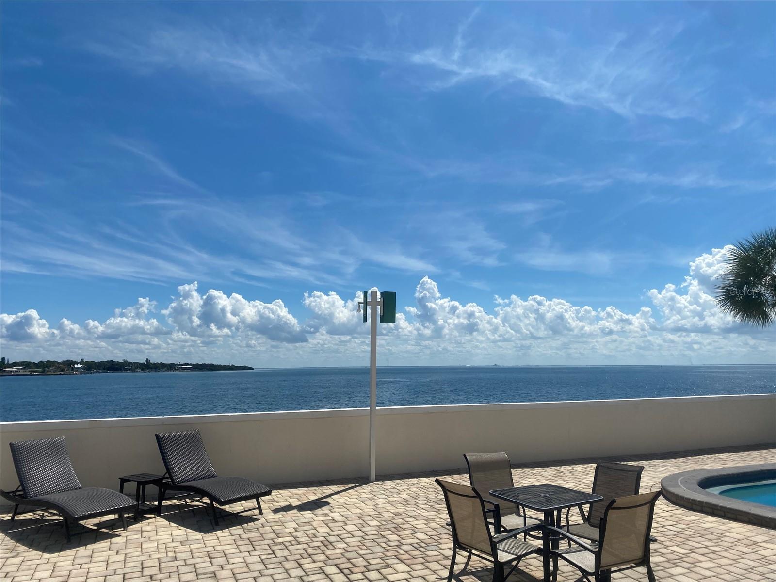 Enjoy Poolside Dolphin watch