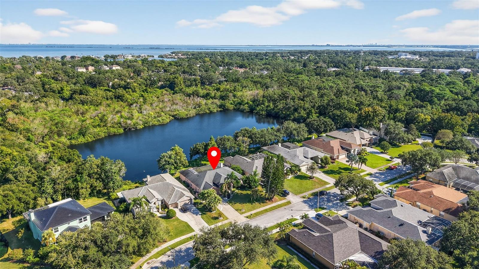 207 HANCOCK CT, SAFETY HARBOR, FL, 34695